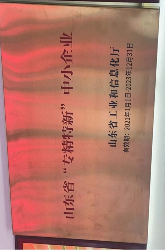 山东省专精特新生产企业
