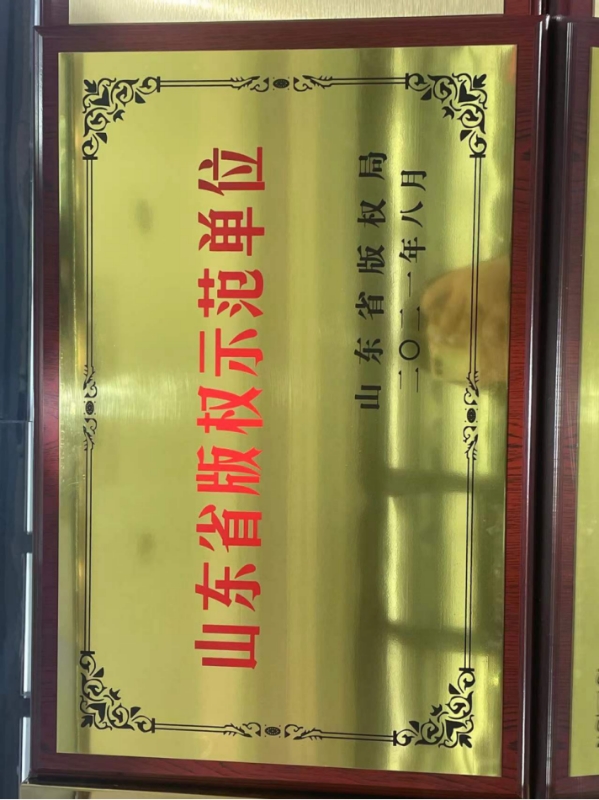 山东省版权示范单