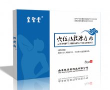 皇圣堂穴位贴敷治疗贴8贴装